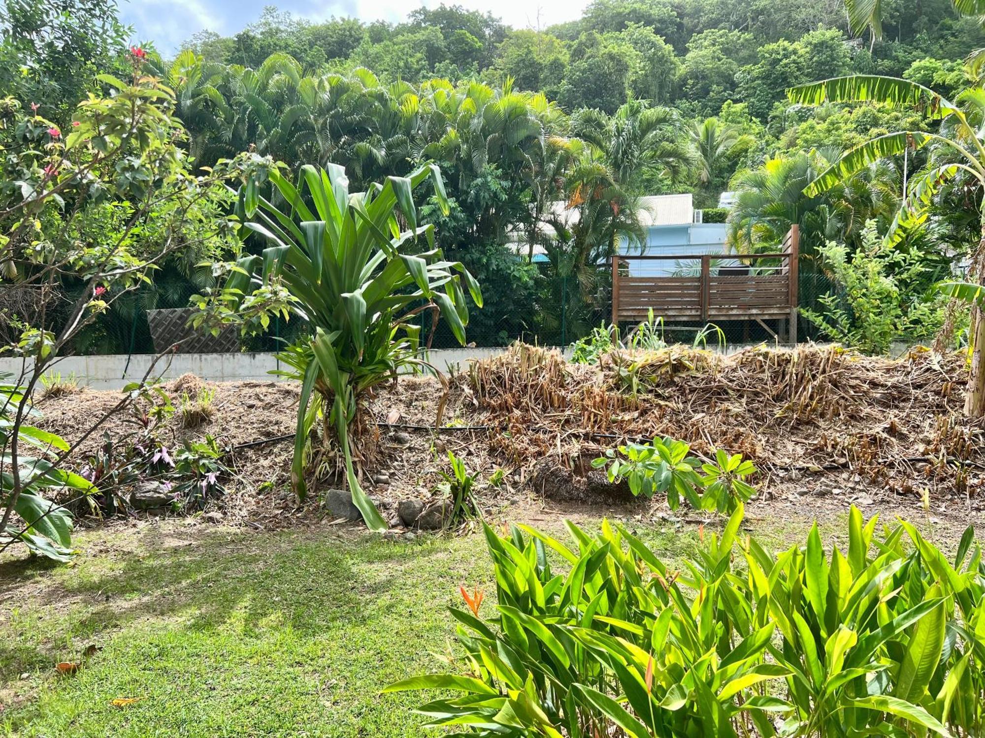 Baz Creole Deshaies Exterior foto