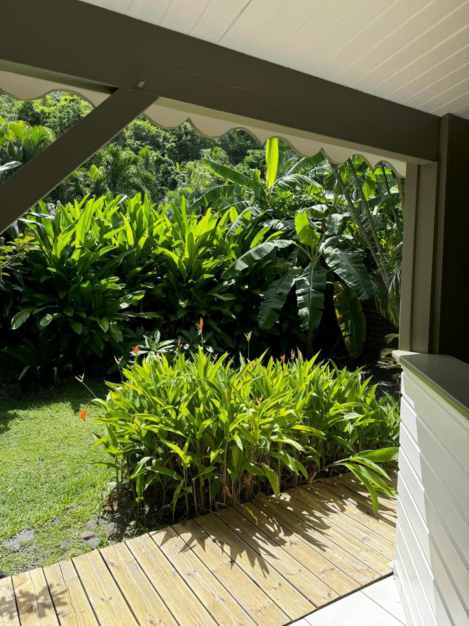 Baz Creole Deshaies Exterior foto